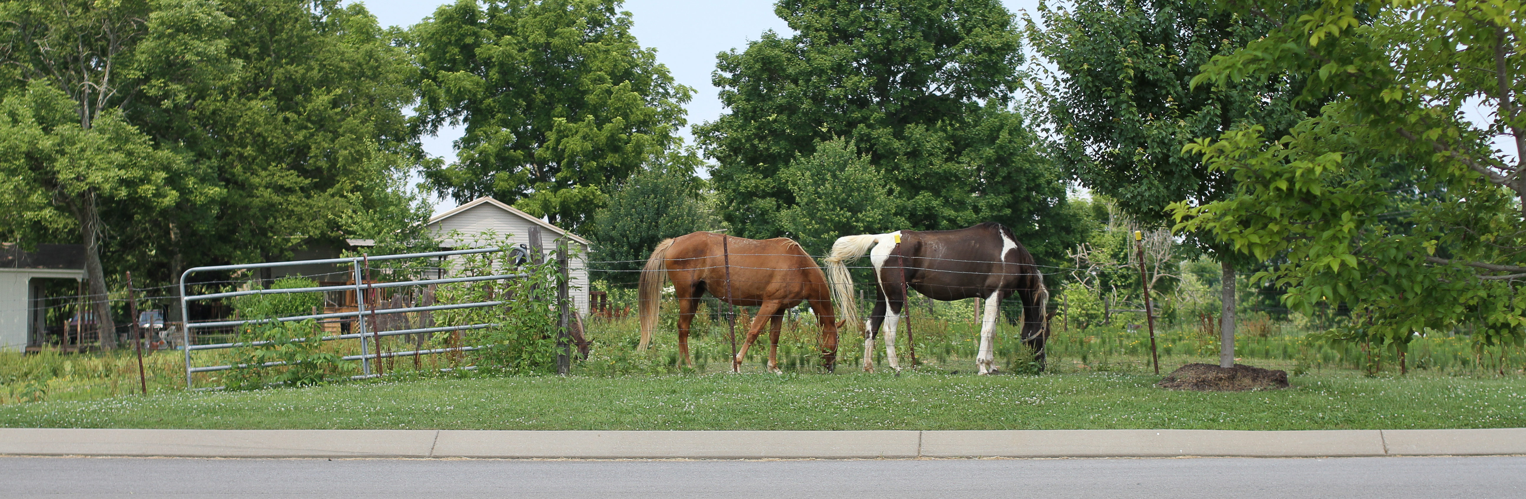 Rossview/St Bethlehem - Fort Campbell, KY - gomillie.com