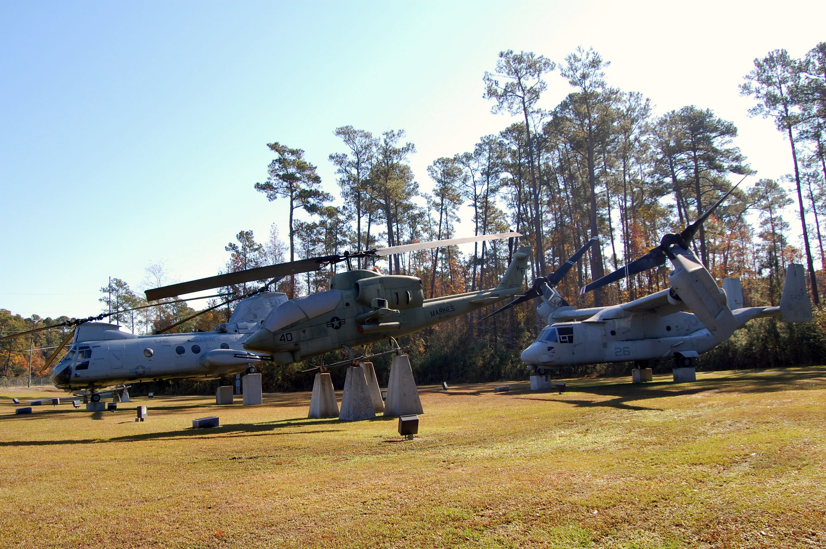 MCB Camp Lejeune - Millie, image size:2843x1889